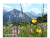 dent du villard
